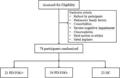 Structural Brain Network Abnormalities in Parkinson’s Disease With Freezing of Gait